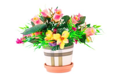 article image - 